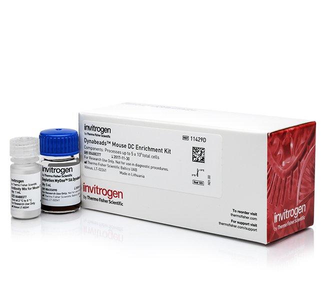 Dynabeads Mouse DC Enrichment kit | 製品情報 | ベリタス